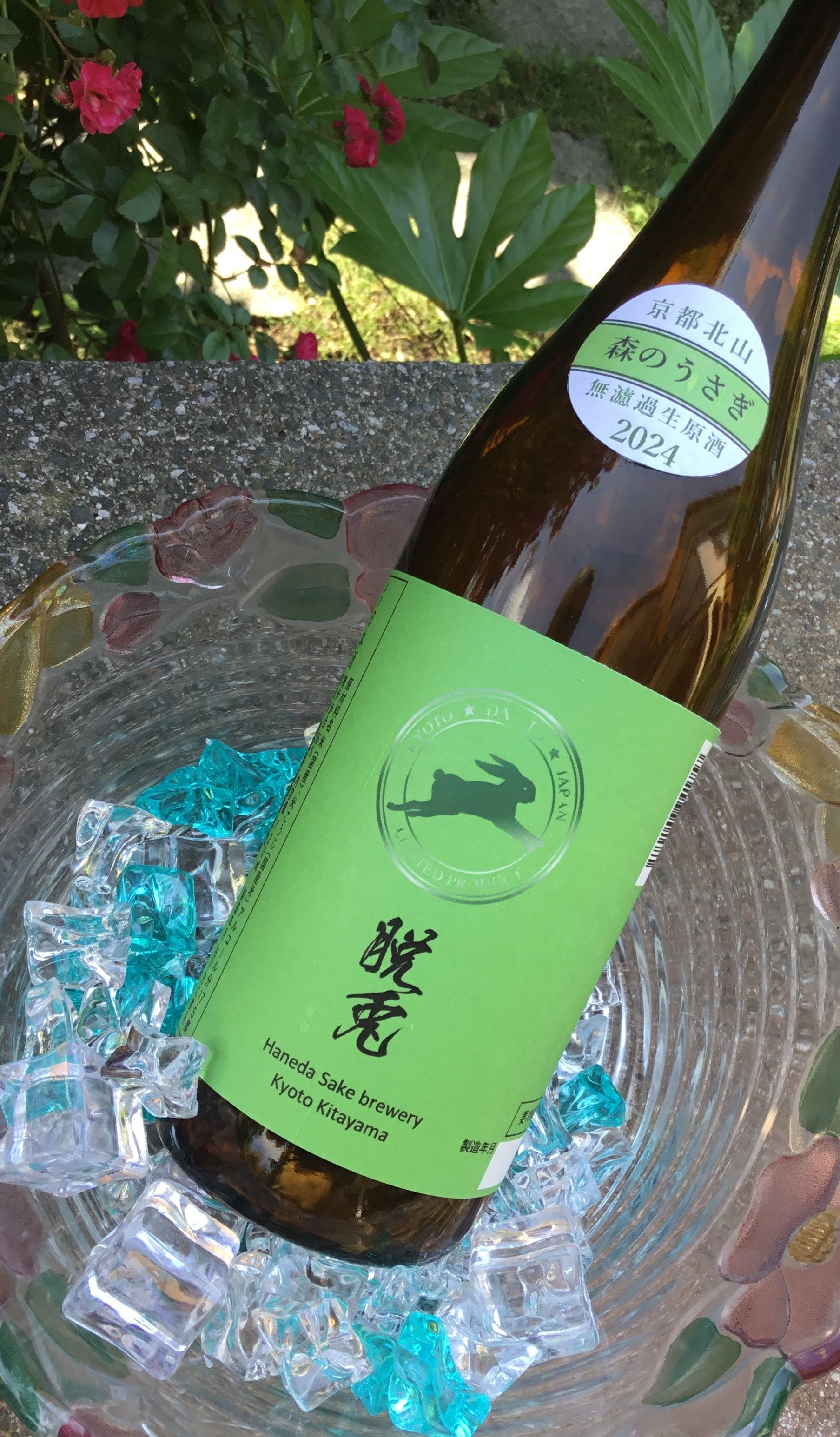 脱兎・森のうさぎ